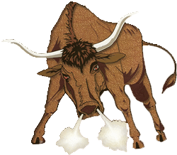 toro bull